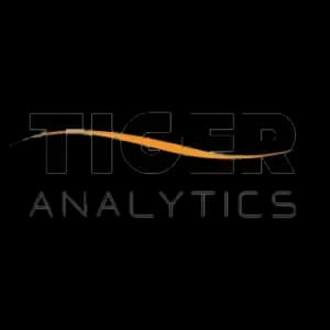 Tiger Analytics